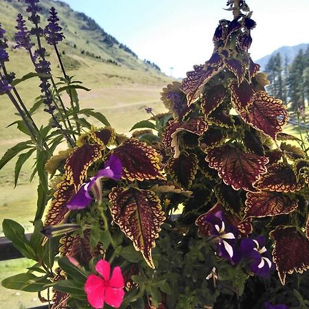 Studio En Pleine Montagne Avec Vue Sur Marmottes ลามงจี ภายนอก รูปภาพ