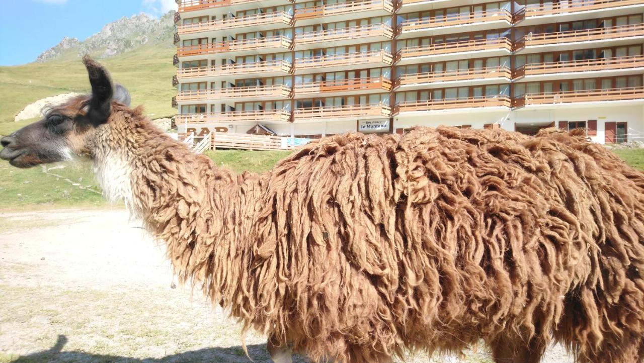 Studio En Pleine Montagne Avec Vue Sur Marmottes ลามงจี ภายนอก รูปภาพ
