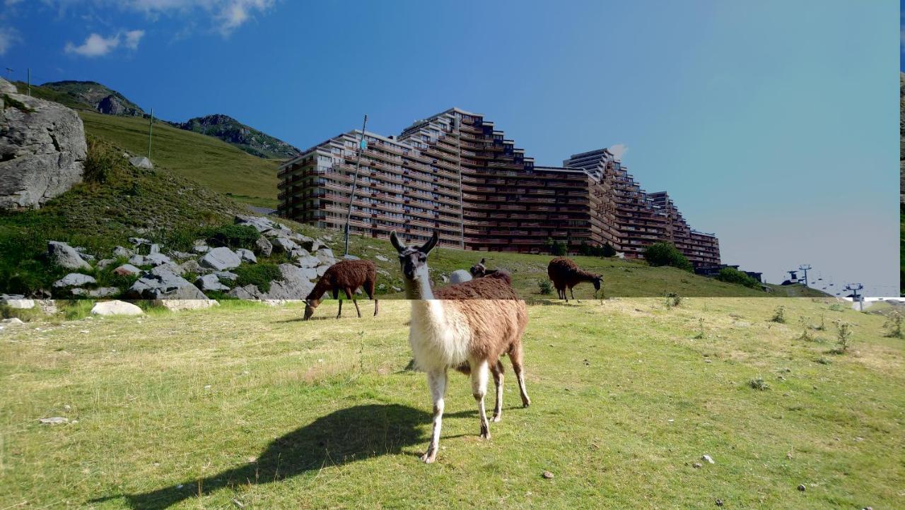 Studio En Pleine Montagne Avec Vue Sur Marmottes ลามงจี ภายนอก รูปภาพ